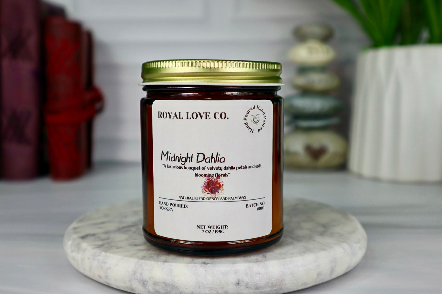 Midnight Dahlia