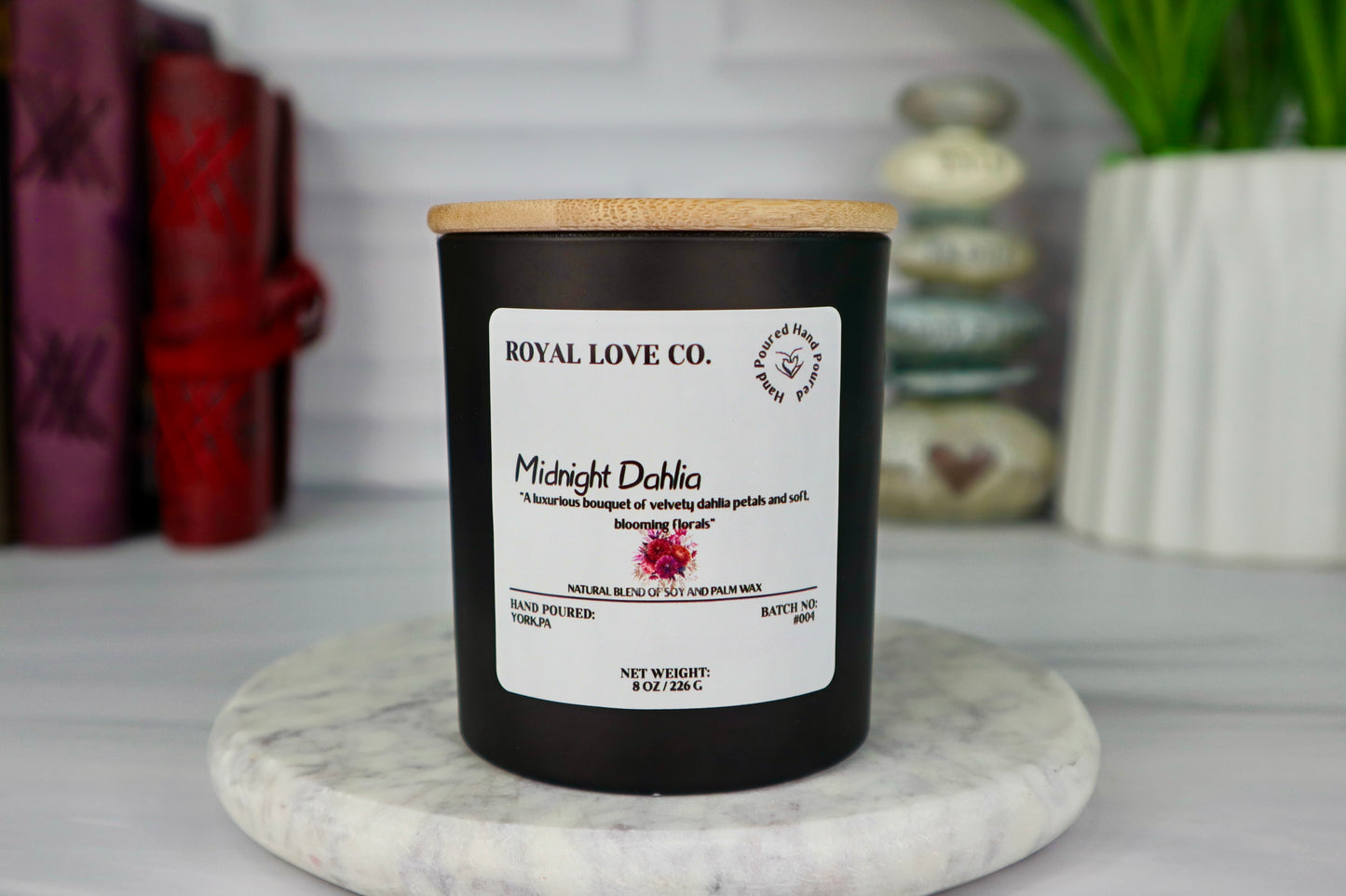 Midnight Dahlia