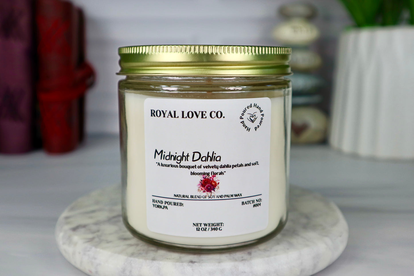 Midnight Dahlia