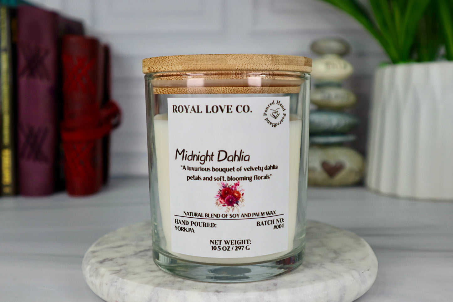 Midnight Dahlia