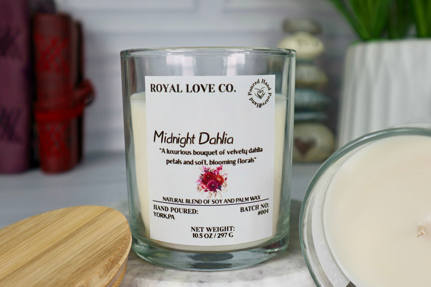 Midnight Dahlia