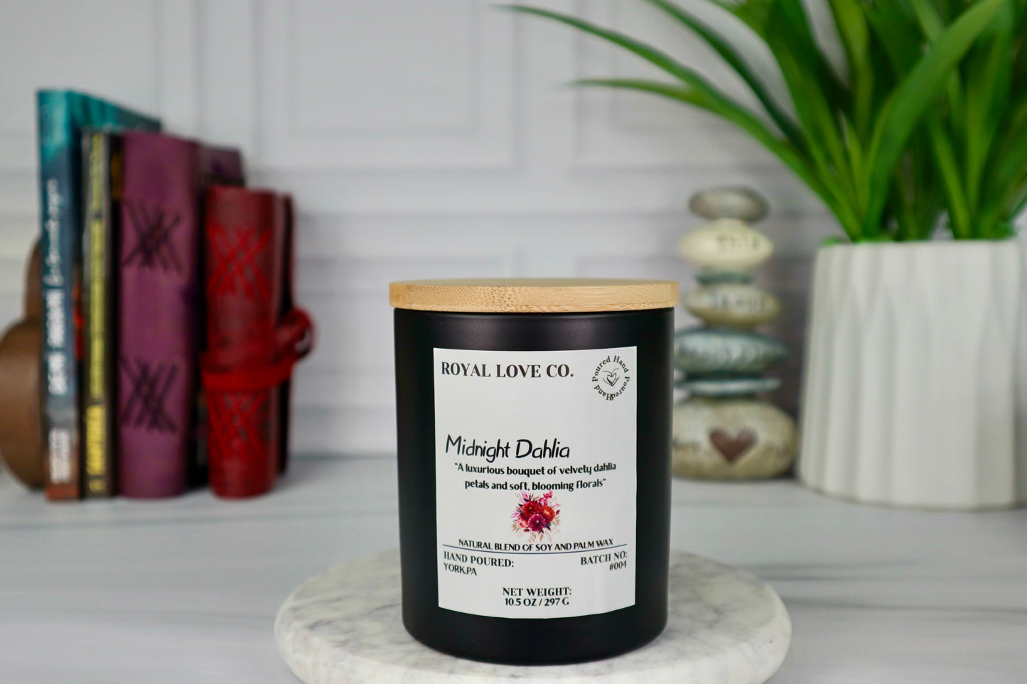 Midnight Dahlia